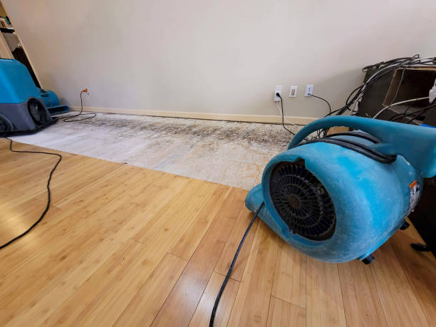 Professional Ceiling Water Damage Repair technician working in Farmington Falls, ME
